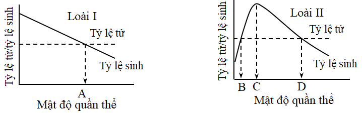 Hai đồ thị bên mô tả mối quan hệ giữa tỷ lệ sinh, tỷ lệ tử vong và mật độ quần thể ở hai loài I và II. (ảnh 1)