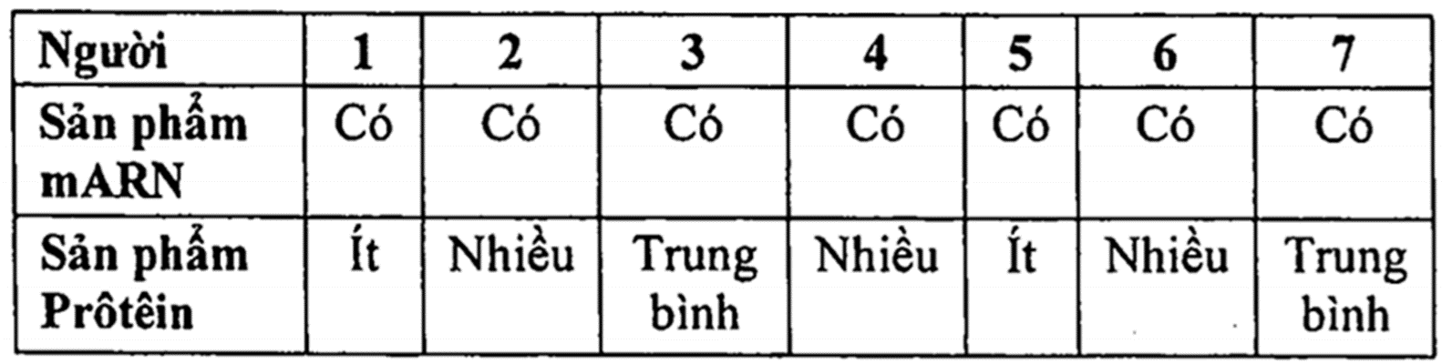 Đột biến gene p53 là một nguyên nhân gây ung thư phổi ở người. Khi nghiên cứu gene p53 ở một số bệnh nhân ung thư phổi, người ta phát hiện thấy có đột biến thay thế cặp nucleotide G-X bằng A-T xảy ra ở vị trí nucleotide 42 của gen p53 trong vùng mã hóa. (ảnh 2)