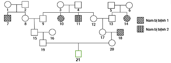 Trong một dòng họ có hiện tượng giao phối cận huyết và xuất hiện 2 bệnh di truyền được thể hiện trong sơ đồ phả hệ bên. Biết không xuất hiện đột biến mới, người số 16 không mang allele gây bệnh, bệnh 2 do gene (ảnh 1)
