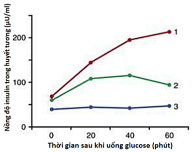 Tiểu đường là bệnh rối loạn chuyển hóa, liên quan đến khả năng sản xuất hoặc sử dụng hoocmon insulin của cơ thể. Có hai loại tiểu đường chính là tiểu đường type 1 và tiểu đường type 2. (ảnh 1)