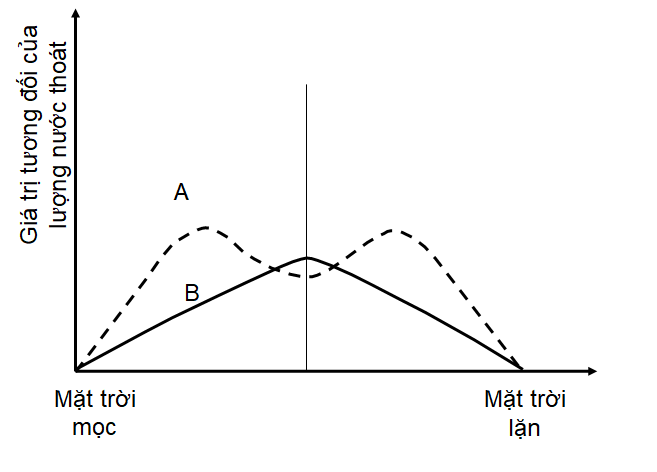 H&igrave;nh 1 biểu diễn qu&aacute; tr&igrave;nh tho&aacute;t hơi nước của một c&acirc;y C3 trong một ng&agrave;y nắng r&aacute;o. C&aacute;c đường cong A, B chỉ c&aacute;c con đường tho&aacute;t hơi nước qua l&aacute;. (ảnh 1)