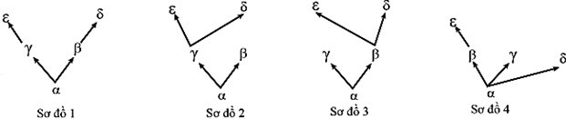 Ở một loài động vật, có một gene được tìm thấy với 5 allele khác nhau. Đoạn trình tự quan tâm của các allele này được mô tả như hình bên,  (ảnh 1)