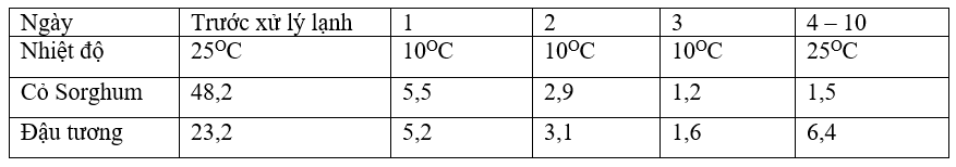 Một thí nghiệm nghiên cứu phản ứng với nhiệt độ thấp của cỏ sorghum (Sorghum bicolor) và đậu tương (Glycine max). Cây được trồng ở 25OC trong vài tuần, sau đó tiếp tục trồng ở 10OC trong 3 ngày, (ảnh 2)