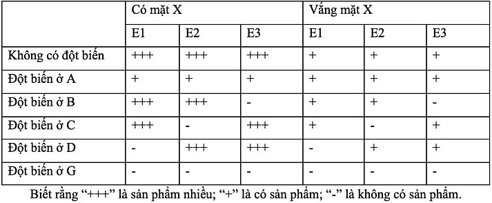 Operon M ở một chủng vi khuẩn chứa 3 gene mã hóa 3 enzyme là E1, E2, E3. Operon này có 5 vùng trình tự nucleotide chưa biết rõ chức năng và vị trí sắp xếp. (ảnh 1)