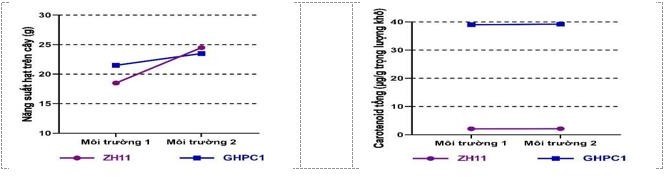 Để nghi&ecirc;n cứu sự biểu hiện t&iacute;nh trạng năng suất v&agrave; h&agrave;m lượng carotenoid tổng số ở hai giống l&uacute;a (Oryza sativa L.) l&agrave; ZH11 v&agrave; GHPC1  (ảnh 1)