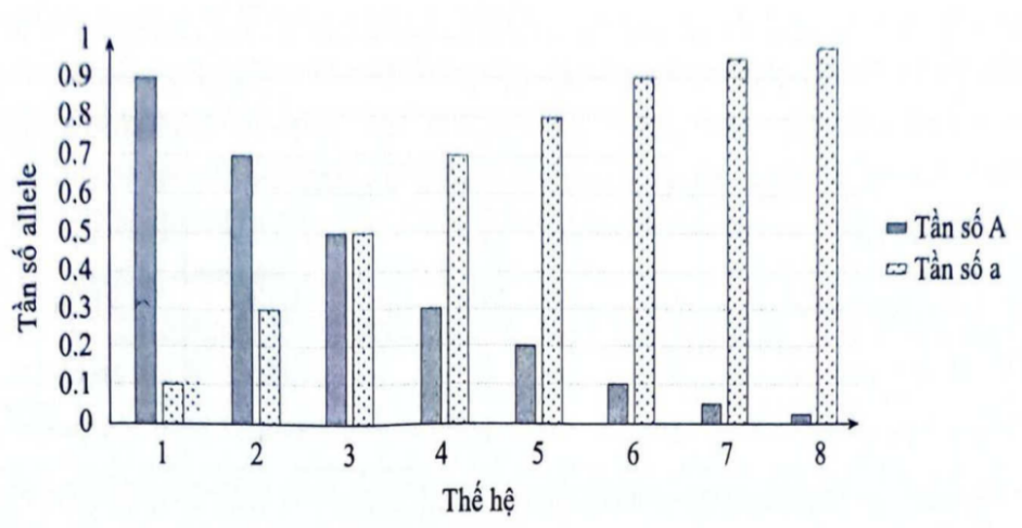 Biểu đồ dưới đây mô tả sự thay đổi tần số allele A và a trong một quần thể ngẫu phối qua 8 thế hệ  (ảnh 1)