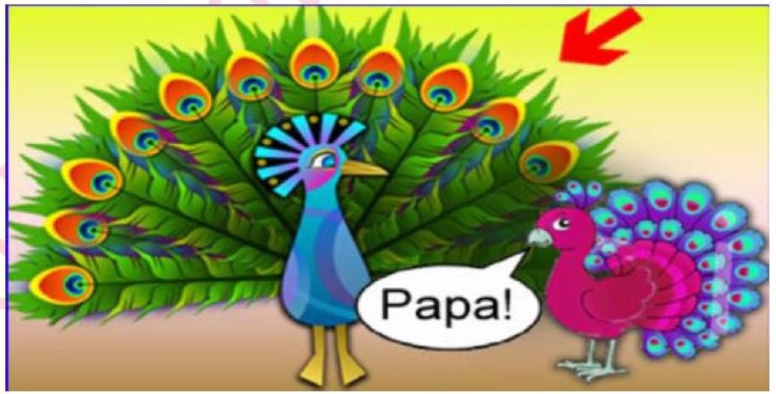 Đây là gì?   A. con con			B. đuôi công			C. công ba			D. công bố (ảnh 1)