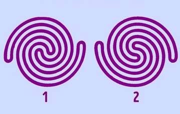 A couple of spirals with numbers

Description automatically generated