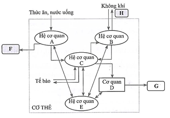 A diagram of a diagram

AI-generated content may be incorrect.