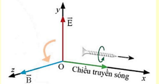 Kí hiệu E và B là cường độ điện trường và cảm ứng từ. Tại một điểm bất kỳ trên phương truyền của sóng điện từ (ảnh 1)