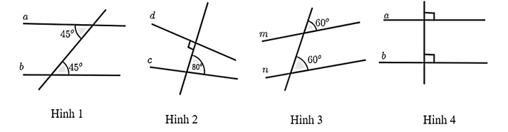 Hình vẽ nào sau đây không biểu diễn hai đường thẳng song song? (ảnh 1)