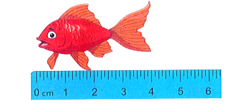 Độ dài của con cá là: (ảnh 1)