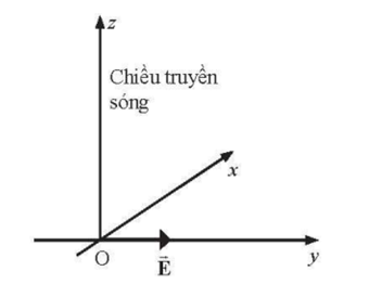 Một sóng điện từ truyền theo phương thẳng đứng, chiều từ dưới lên trên theo chiều dương của trục Oz (ảnh 1)