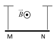 Một dây dẫn thẳng MN có chiều dài L =30 cm, khối lượng của một đơn vị dài của dây là  (ảnh 1)