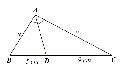 Cho hình vẽ bên. Tỉ số y/x bằng (ảnh 1)