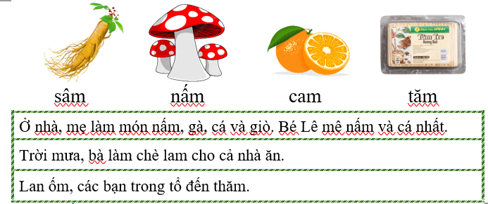 I. Tập đọc (ảnh 1)