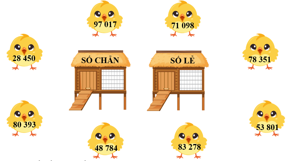 Nối các con gà với chuồng thích hợp (ảnh 1)