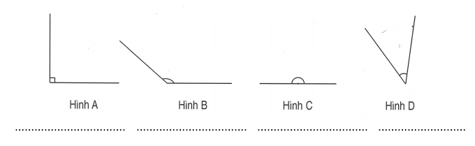 Em hãy điền vào chỗ chấm tên gọi của mỗi góc: (ảnh 1)