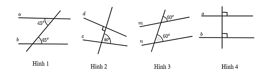 Hình vẽ nào sau đây không biểu diễn hai đường thẳng song song? (ảnh 1)
