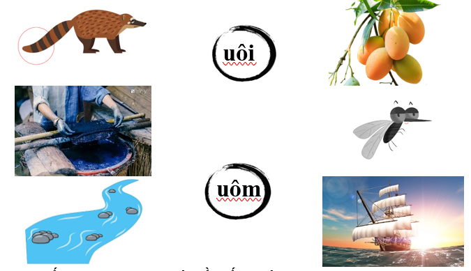 Nối đúng các hình sau: (ảnh 1)