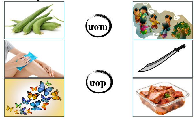 Nối đúng các hình sau: (ảnh 1)