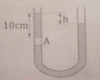 Như minh họa ở hình bên, một ống thủy tinh hình chữ U đặt thẳng đứng, hai đầu để hở, cột khí A dài 2cm, cột thủy ngân phía trên cột khí A dài 10cm. Biết áp suất khí quyển là 76cmHg. Độ cao chênh lệch h của mặt thủy ngân ở hai nhánh là (ảnh 1)