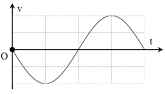 Vận tốc của một vật dao động điều hòa phụ thuộc vào thời gian theo đồ thị như hình vẽ. Mốc thời gian được chọn là lúc chất điểm: (ảnh 1)