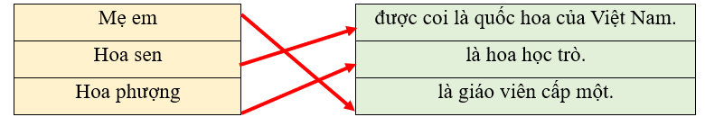 Em hãy nối chủ ngữ với vị ngữ phù hợp: (1 điểm)
 (ảnh 2)