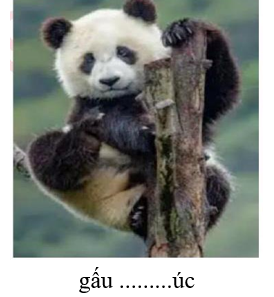 Điền chữ thích hợp vào chỗ trống: (ảnh 1)