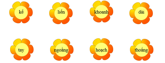 Nối đúng các từ sau: (ảnh 1)