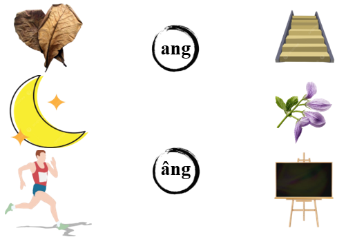 Nối đúng các hình sau: (ảnh 1)