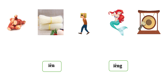 Nối đúng các từ sau: (ảnh 1)