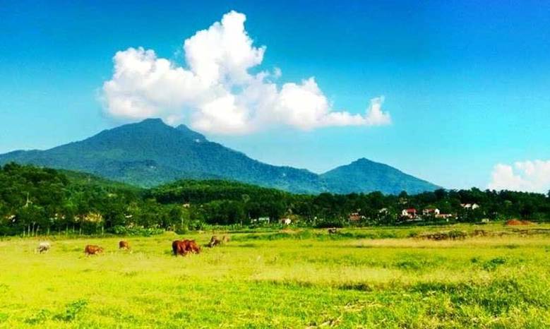 VỜI VỢI BA V&Igrave;