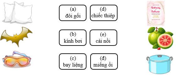 Nối đúng ô chữ và hình sau: (ảnh 1)