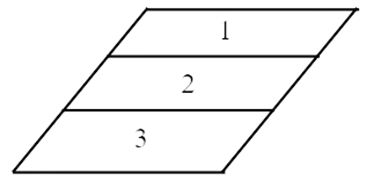 Hình vẽ dưới đây có:  (ảnh 2)