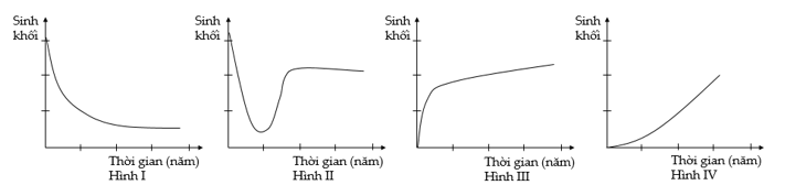 Giả sử sự thay đổi sinh khối trong quá trình diễn thế sinh thái của 4 quần xã sinh vật được mô tả ở các hình I, II, III và IV. (ảnh 1)