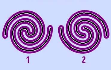 A close-up of a spiral

Description automatically generated