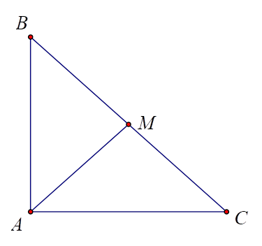 Cho tam giác ABC vuông tại A có góc B = 60 độ ,AC = 2,5. Gọi M là trung điểm của BC. Tính giá trị của biểu thức P = vecto AM x vecto BM (làm tròn kết quả đến hàng phần trăm). (ảnh 1)
