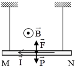 Treo đoạn dây dẫn MN có chiều dài L=25cm, khối lượng một đơn vị chiều dài là 0,04kg/m bằng hai dây mảnh nhẹ sao cho dây dẫn nằm ngang. Biết cảm ứng từ có chiều như hình vẽ, độ lớn B=0,04T. Lấy g=10m/s2. (ảnh 2)