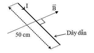 Một dây dẫn nằm ngang dài 50 cm mang dòng điện cường độ 0,3 A (ảnh 1)