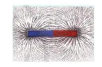 Rải đều các mạt sắt lên mặt của một đáy hộp bằng nhựa. Đặt hộp lên một thanh nam châm thẳng rồi gõ nhẹ vào thành (ảnh 1)