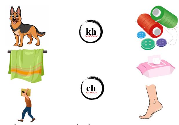 Nối đúng các hình dưới: (ảnh 1)