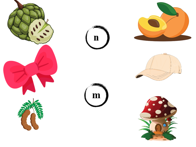 III. Bài tập ôn luyện (ảnh 1)