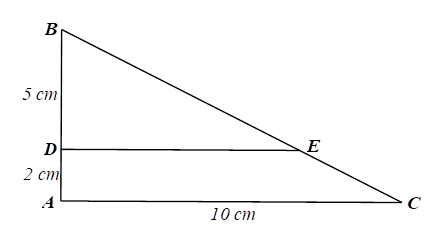 Cho hình bên, biết DE,AC. Độ dài đoạn thẳng DE (làm tròn kết quả đến chữ số thập phân thứ hai) là (ảnh 1)