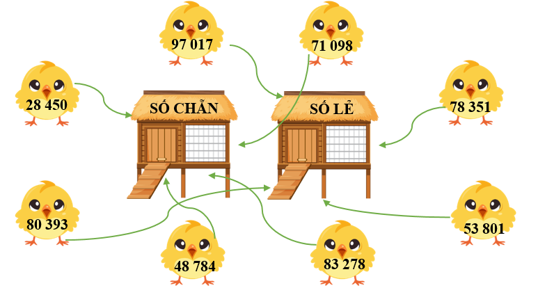 Nối các con gà với chuồng thích hợp (ảnh 2)