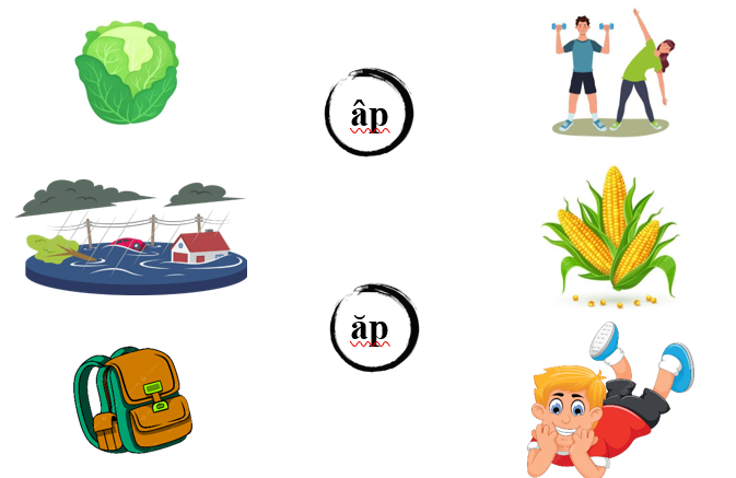 Nối đúng các hình sau: (ảnh 1)