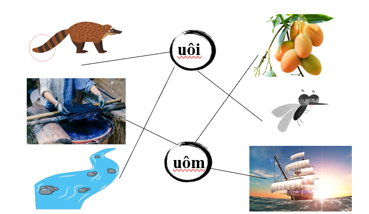 Nối đúng các hình sau: (ảnh 2)