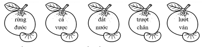 Tô màu xanh lá vào tiếng chứa vần “ươt”, màu xanh dương vào tiếng chứa vần “ươc”: (ảnh 1)