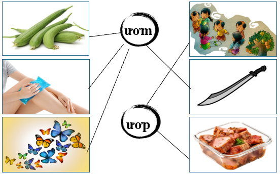 Nối đúng các hình sau: (ảnh 2)