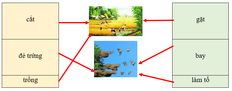 Em hãy quan sát bức tranh dưới đây và nối các động từ phù hợp với sự vật trong tranh: (1 điểm)
 (ảnh 2)